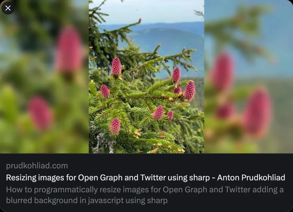 Example result (Twitter card)